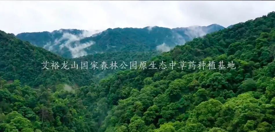 第21届cbme孕婴童展艾裕载誉而归